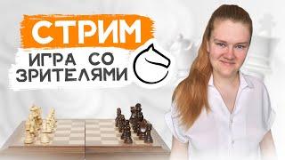 Играю в шахматы, комментирую и общаюсь с чатом