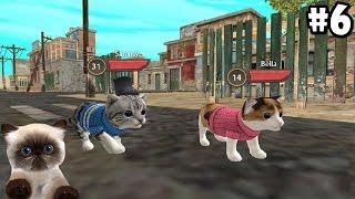 Cat Sim Online: Play with Cats -Explore The World- Android / iOS - Gameplay Episode 6