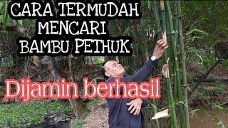 Cara mencari bambu pethuk