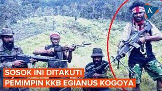 Pemimpin KKB Egianus Kogoya "Takut" kepada Sosok Pecatan TNI, Siapa Dia?