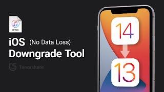 Top 2 iOS Downgrade Tools 2020: How to Downgrade iOS 14 Beta to iOS 13 without Losing Any Data