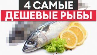 4 рыбы за копейки! / Какая рыба самая выгодная для твоего бюджета?