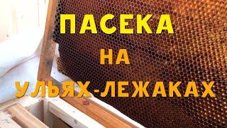 ПРИЕХАЛА НАША ПАСЕКА на УЛЬЯХ-ЛЕЖАКАХ!!! ЕСТЕСТВЕННОЕ ПЧЕЛОВОДСТВО - ЛУЧШИЙ МЁД