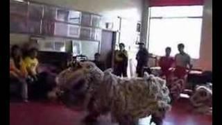 Fut San Lion Dance Basic Routine