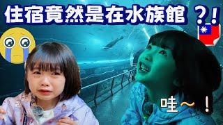 水族館過夜會發生什麼事 ?! 在屏東海生館的一晚  / 수족관에서 자면 생기는 일 ?! 핑둥 해양 생물 박물관에서 하룻밤 