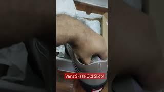 Vans Skate Old Skool "Taupe"