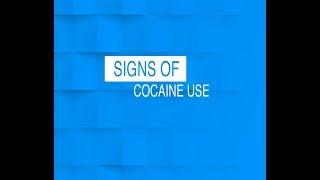 Signs of Cocaine Use