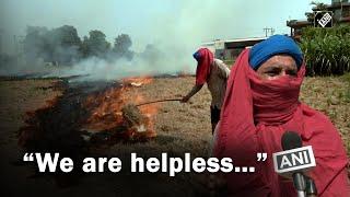 “We are helpless..” Farmers begin Parali burning in Punjab, pollution to rise