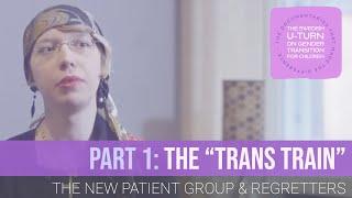 Sweden's U-Turn on Trans Kids: The Trans Train (Part 1): The New Patient Group & Regretters