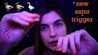 ASMR: 'Duck Duck Goose' - Hand Movements and TASCAM Tingles to Make You Sleepy 