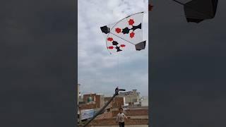 FLY A KITE USING A WATER PIPE  #shorts #pkcrazyexperiments