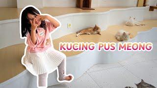 KUCING PUS MEONG - Lagu Anak Terbaik