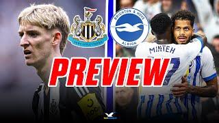 Newcastle vs Brighton PREVIEW