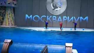 Морские приключения. МУЛЬТПРОСВЕТ