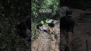 DITEMUKAN PINGSAN, KESURUPAN #viral #shorts #shortvideo #gunung #pendaki #cerita #ceritagunung