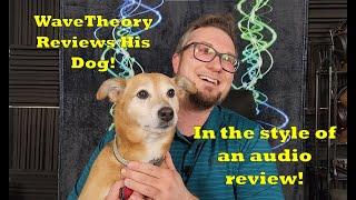 WaveTheory's Dog - A Canine Review In The Style of an Audio Review