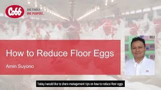 Reduce Floor Eggs - Amin Suyono