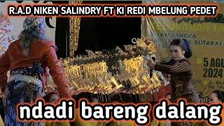 terbaru Niken Salindry ft Redi mbelung pedet ndadi bareng, Majenang talun