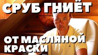 ТАК СРУБ ТОЧНО ТРЕСНЕТ! Можно ли красить дерево масляной краской. Лак для сруба. Покраска сруба