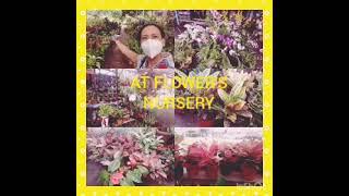 #60 MommJ At Flower's Nursery Shop