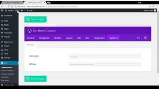 How to update the DIVI Theme