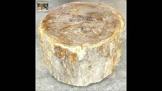 Large Petrified Wood Stump Coffee Table #petrifiedwood #logtable #coffeetables #coffeetable