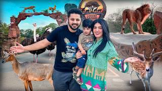 BEST EXPERIENCE OF WILDLIFE  | Lion & Ostrich Ny Attack Ker Dea  | Lahore Safari Park ️