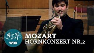 Mozart - Hornkonzert Nr. 2 Es-Dur KV 417 | Přemysl Vojta | Julio García Vico | WDR Sinfonieorchester