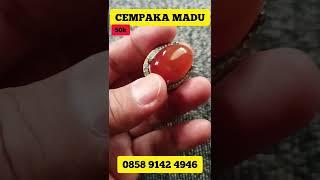 BATU AKIK CEMPAKA MADU #shorts #fyp #pajunkhu #youtubeshorts #batuakik