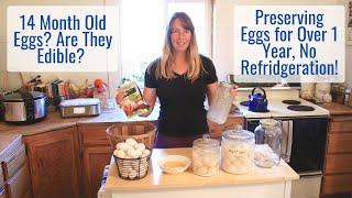 Preserve Eggs for More than 1 Year, NO Refrigeration! What Does a 14 Month Old Egg Look Like?
