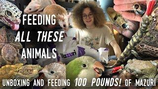 I ORDERED OVER 100 POUNDS OF ANIMAL FOOD! (My LONGEST Feeding Video EVER)