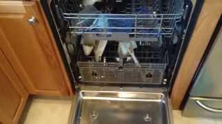 pt.2 Whirlpool Gold Series Dishwasher door leaking resolved - WDF760SADM