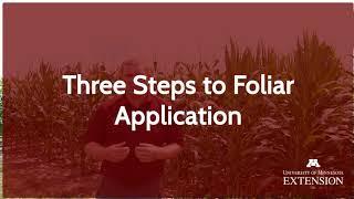 Your Guide to Foliar Nutrient Applications