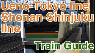 Ueno-Tokyo line, Shonan-Shinjuku line train guide