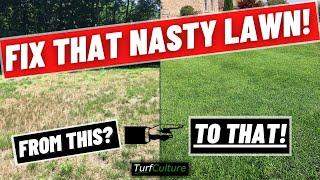 How to Fix Your Ugly Lawn //  DIY Lawn Care Tips To Get Started