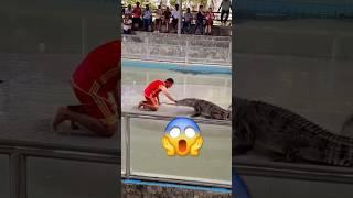 Crocodile bite Off his hand clean  wtf full video on my channel #crocodile #wildlife #crazy #short