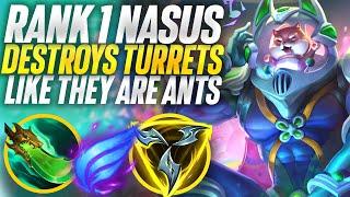 Rank 1 Nasus Destroying turrets like they are ants!| Carnarius | League of Legends