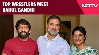 Rahul Gandhi Today News | Top Wrestlers Bajrang Punia, Vinesh Phogat Meet Rahul Gandhi