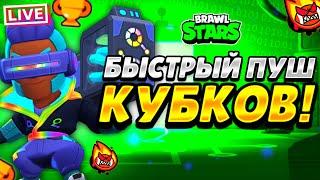 ШЕЛЛИ НА 30 РАНГ В СОЛО ШД 900+! СТРИМ BRAWL STARS