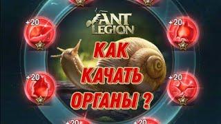 Ant Legion: КАК КАЧАТЬ ОРГАНЫ УЛИТКИ?