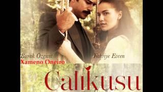 Çalıkuşu-Jenerik Muzik