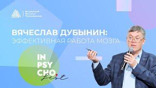 Вячеслав Дубынин: Эффективная работа мозга