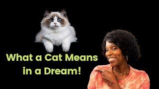 What a Cat Means in a Dream/Dreams about cats/Biblical Dream Interpretation!