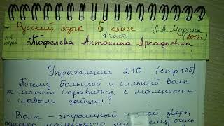 Упр 210 стр 125 гдз по Русскому языку 5 класс Мурина 1 ч Сочинение рассуждение