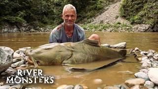 The BIGGEST FISH caught in Season 1 of River Monsters