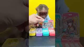 Little Monkey Reviews Four Candy Colored Phones