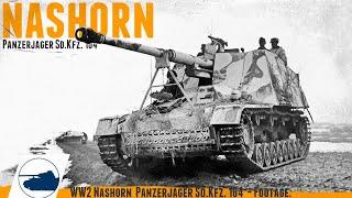 Rare WW2 Nashorn Sd.Kfz.164 - footage.