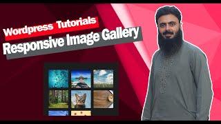 Responsive Photo Gallery for wordpress in 2020
