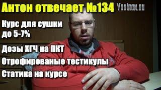 №134 КУРС НА СУШКУ | ДОЗЫ ХГЧ НА ПКТ | СТАТИКА НА КУРСЕ