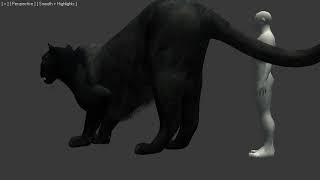 Panther Anal Vore